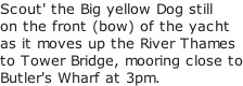 Scout' the Big yellow Dog still on the front (bow) of the yacht as it moves up the River Thames to Tower Bridge, mooring close to Butler's Wharf at 3pm.